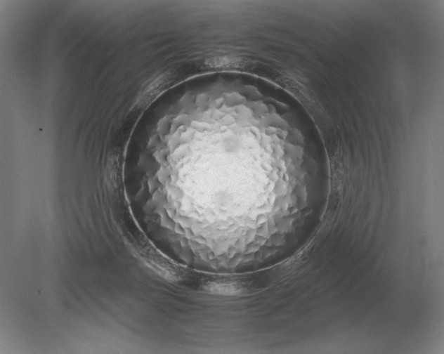 X0000079300171200612011759