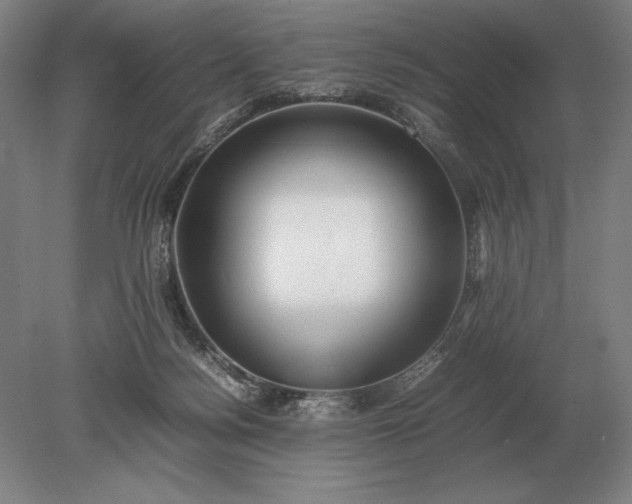 X0000079300172200612011759
