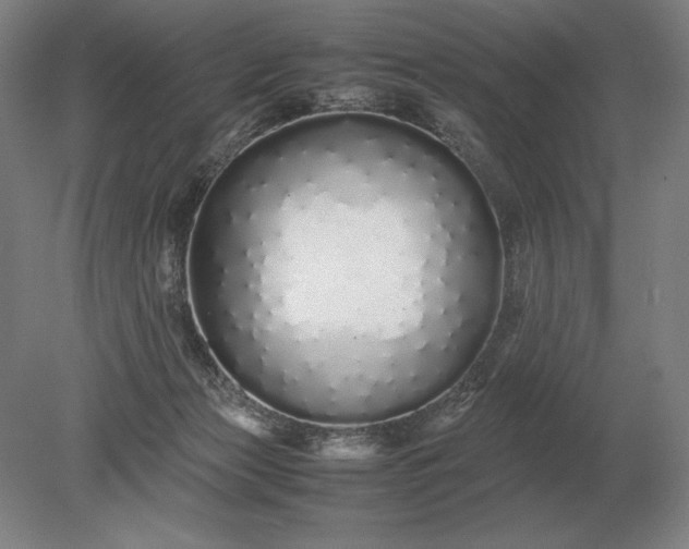 X0000079300173200612011759