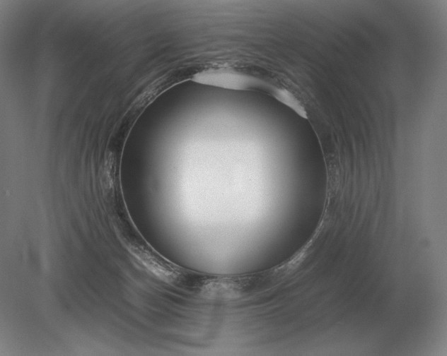 X0000079300174200612011759