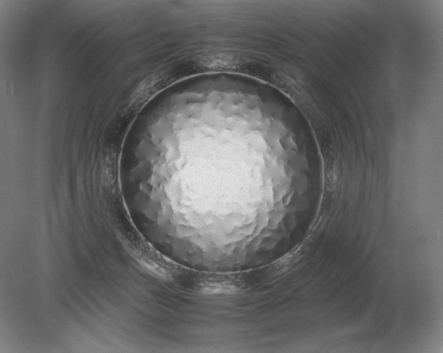 X0000079300175200612011759