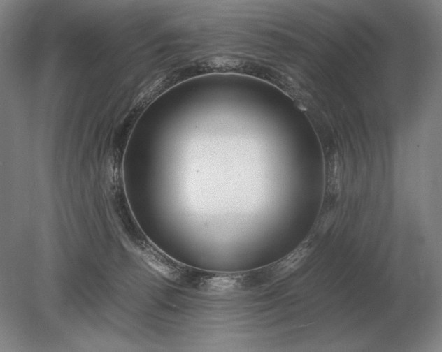 X0000079300176200612011759