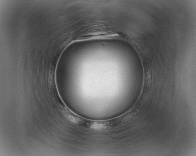 X0000079300177200612011759