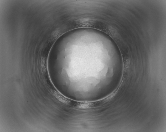 X0000079300178200612011759
