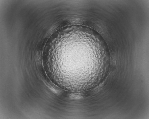 X0000079300179200612011759