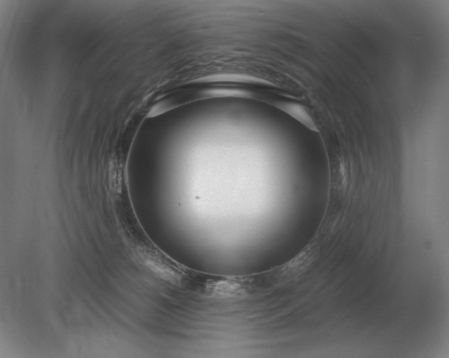 X0000079300180200612011759
