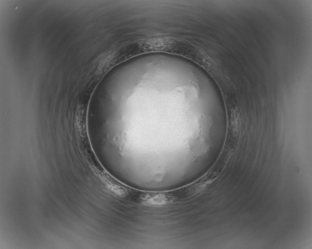 X0000079300181200612011759