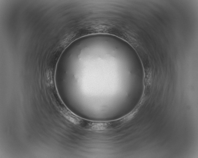 X0000079300182200612011759