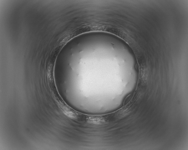 X0000079300185200612011759