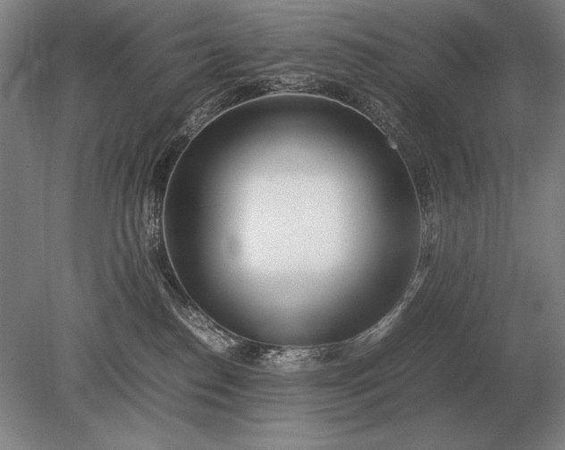 X0000079300186200612011759