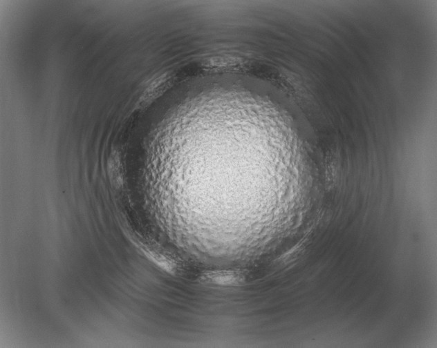 X0000079300187200612011759