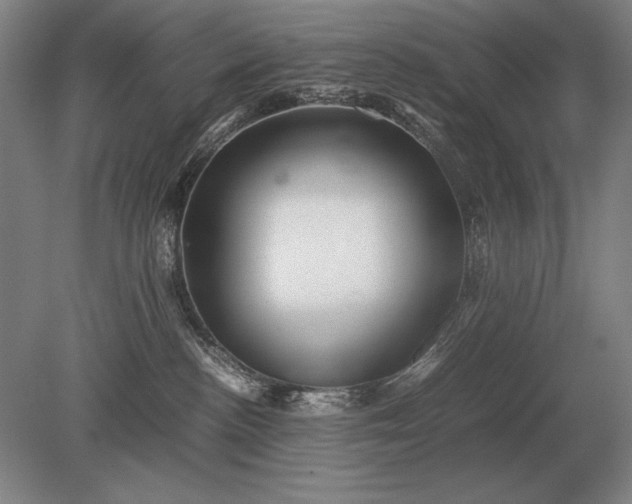X0000079300188200612011759
