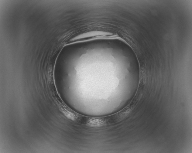 X0000079300189200612011759