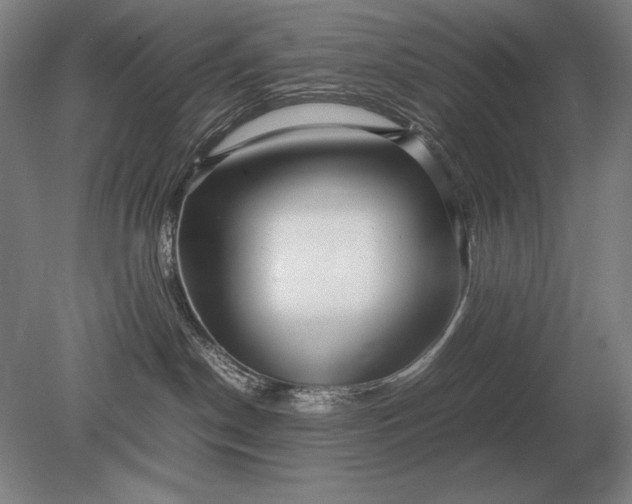 X0000079300190200612011759