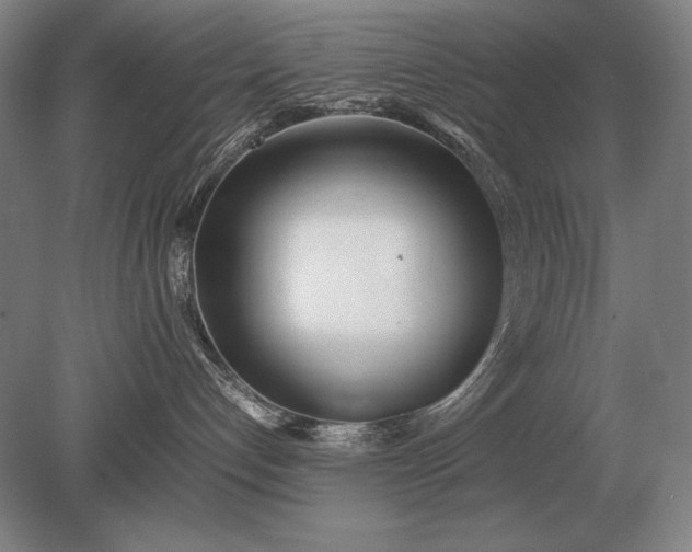 X0000079300192200612011759