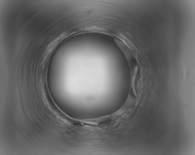 X0000079300193200612011758