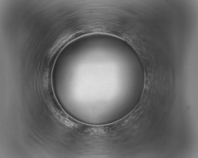 X0000079300194200612011758
