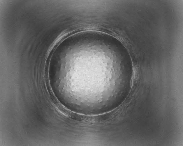 X0000079300195200612011758