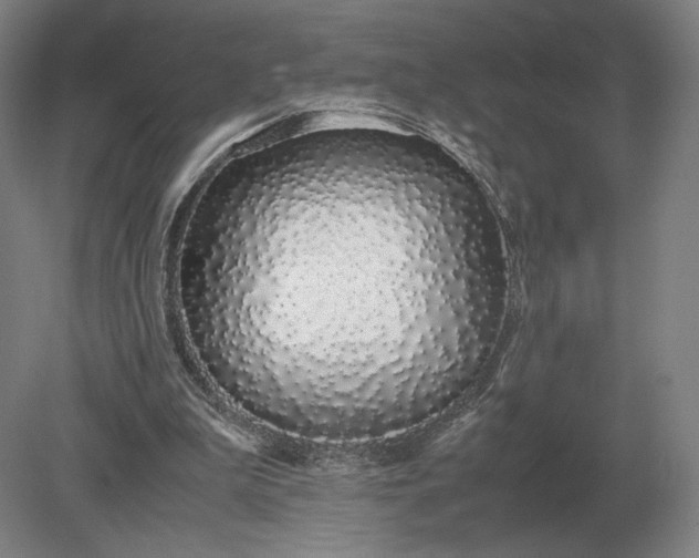 X0000079300199200612011758