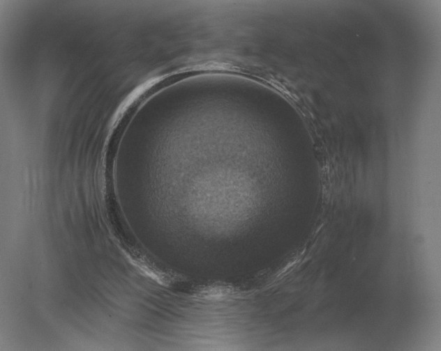 X0000079300200200612011758
