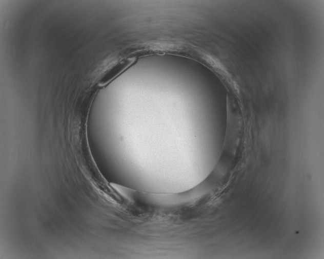 X0000079300201200612011758