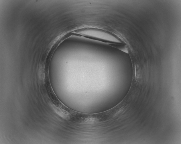 X0000079300204200612011758