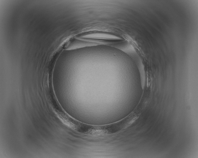 X0000079300205200612011758