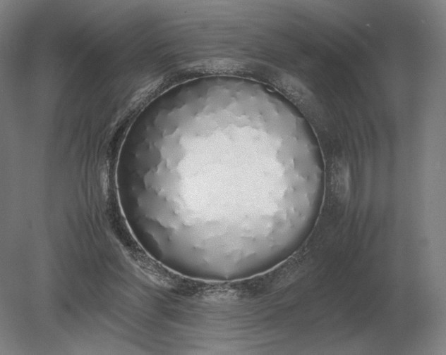 X0000079300206200612011758
