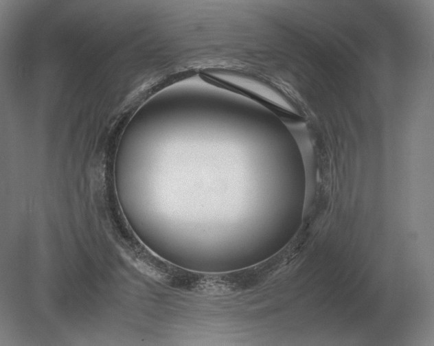 X0000079300207200612011758