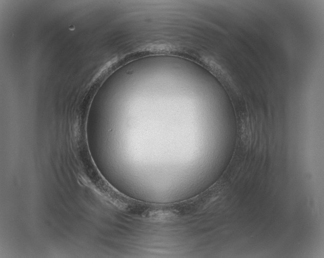 X0000079300208200612011758