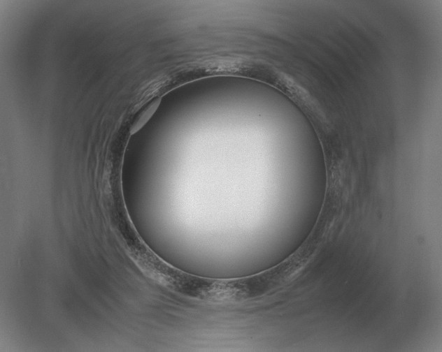 X0000079300209200612011758