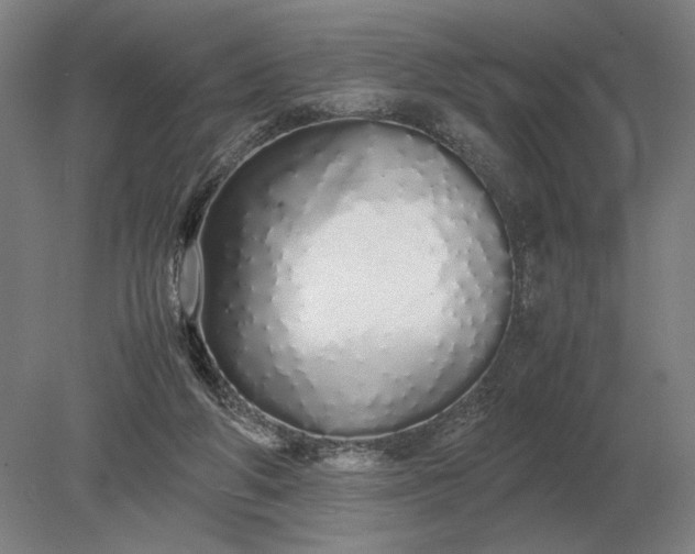 X0000079300210200612011758