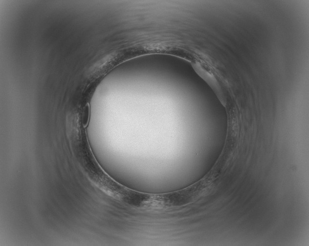 X0000079300211200612011758