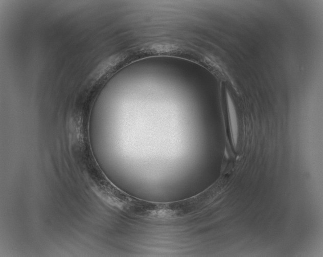 X0000079300212200612011758
