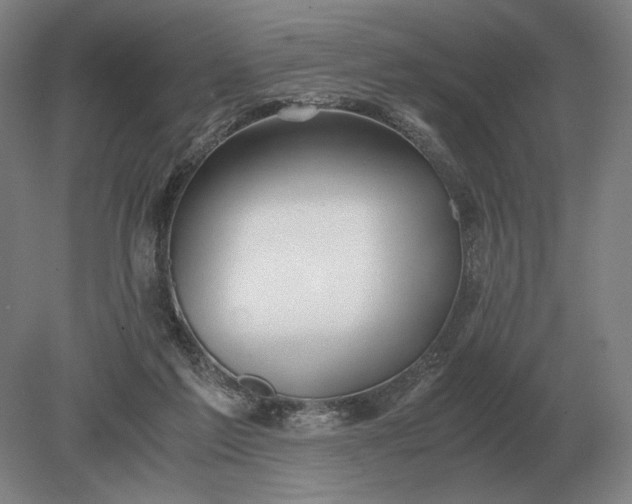 X0000079300213200612011758