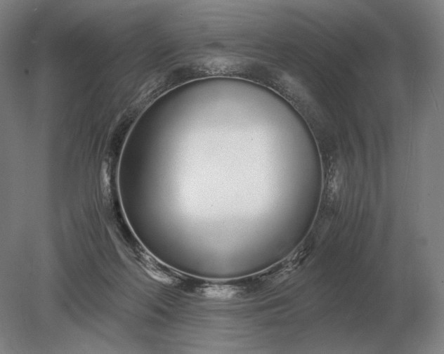 X0000079300214200612011758