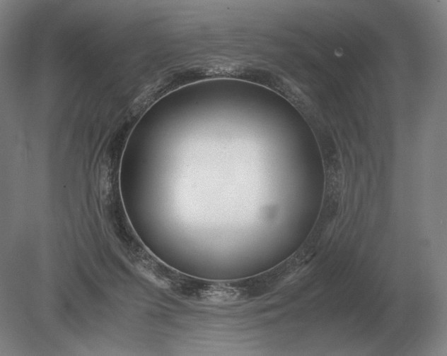 X0000079300215200612011758