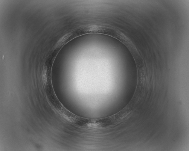 X0000079300216200612011758