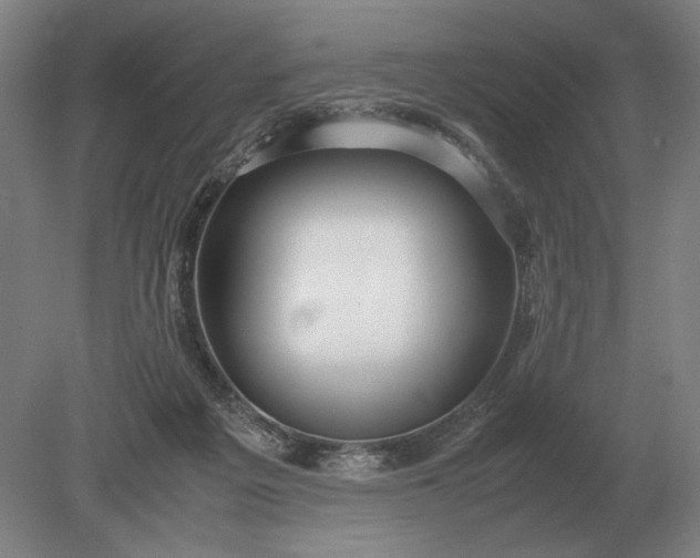 X0000079300217200612011758