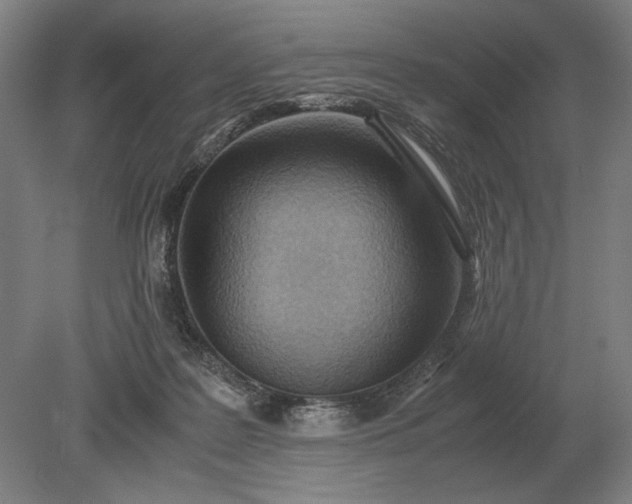 X0000079300219200612011758