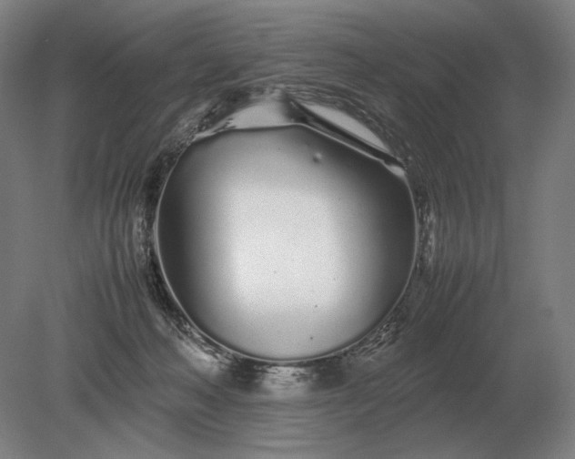 X0000079300222200612011758