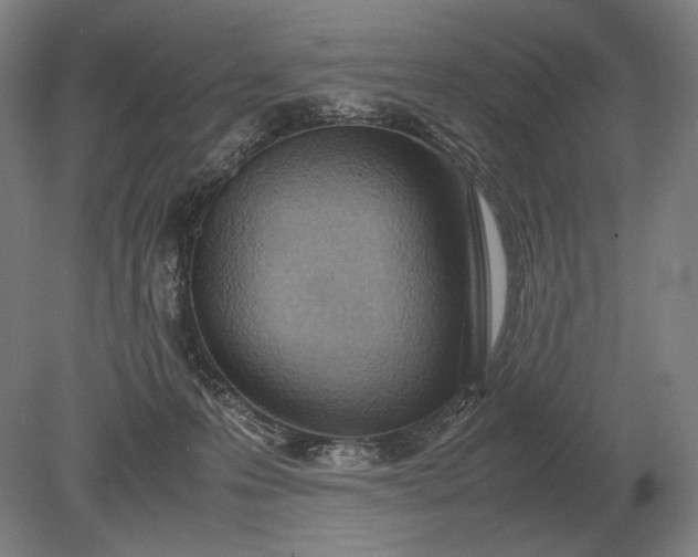 X0000079300223200612011758