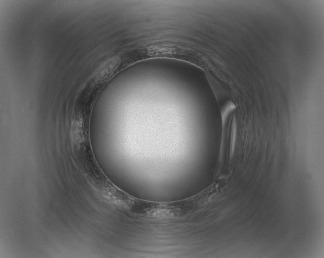 X0000079300224200612011758