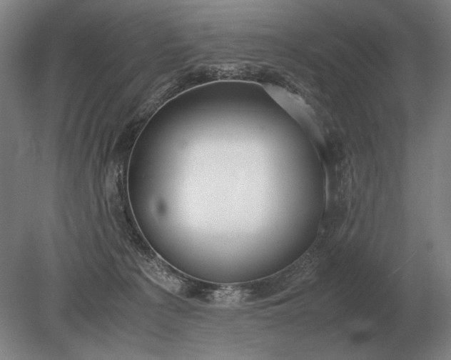 X0000079300225200612011758