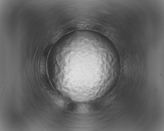X0000079300226200612011758