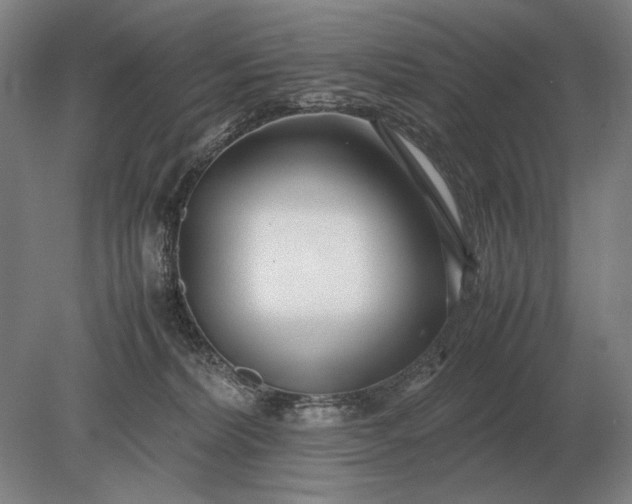 X0000079300228200612011758