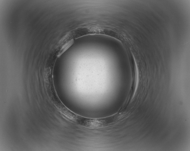 X0000079300229200612011758