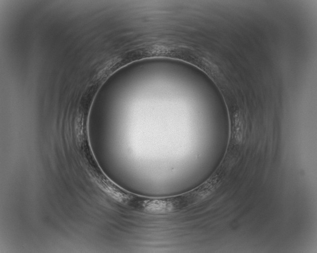 X0000079300230200612011758