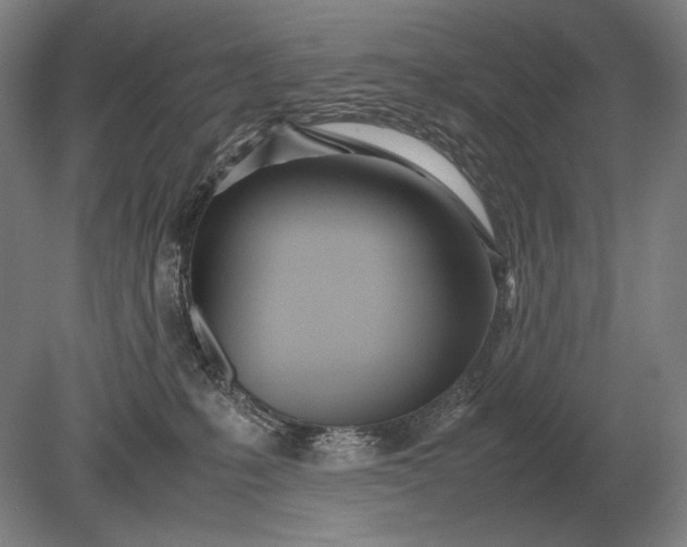 X0000079300231200612011758