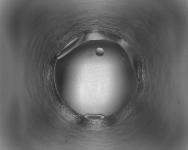 X0000079300233200612011758